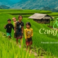 Voyage à Mu Cang Chai: Découvrez les Rizières en Terrasses et la Culture Ancestrale du Vietnam