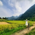 Comment se rendre à Lâm Thượng depuis Hanoi ?