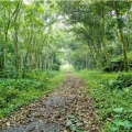 Tour 2 jours 1 nuit au Parc National de Cuc Phuong – Nature & Culture authentique au Vietnam