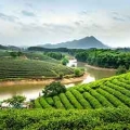 Comment, quand et que visiter dans la Province de Nghe An