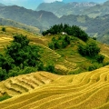 Ethnies de Cao Bang: Traditions vivantes et rencontres vraies