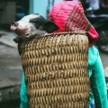 Dormir à Cao Bang: Guide des meilleurs homestays et hôtels pour un séjour réussi