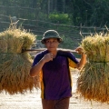 Expériences à vivre absolument à Mai Chau – Immersion authentique au cœur du Vietnam rural