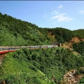 Train Thong Nhat: Plus beau voyage ferroviaire au monde en 2025