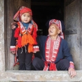 Les Festivals et Célébrations à Mu Cang Chai: Une Immersion Culturelle Inoubliable