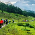 Comment bien préparer votre voyage à Da Lat