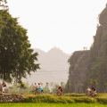 Tam Coc ou Trang An? Le duel inattendu au cœur de Ninh Binh