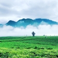 Lai Chau, Vietnam: voyage initiatique au cœur d’un Nord intact