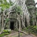 Laos ou Cambodge? Lequel choisir pour votre prochain voyage?