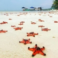 Voyager responsable à Phu Quoc: Conseils éthiques 2025