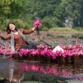 Guide complet pour visiter Ninh Binh – Transport, hébergement et itinéraires recommandés