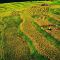 Voyage à Pu Luong en 1 jour: nature, authenticité et immersion culturelle