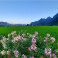 Les villages ethniques à visiter autour de Lâm Thượng