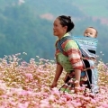 Trek Hoang Su Phi - Chieu Lau Thi - Bac Ha 4 jours