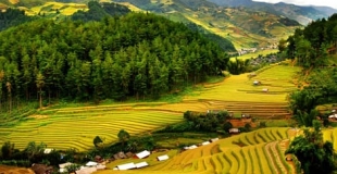Excursion à Mai Chau depuis Hanoi 