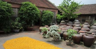 Excursion au village de Duong Lam
