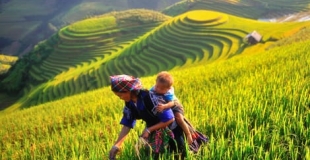 Excursion à Mu Cang Chai 