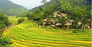 Trek et randonnées à Pu Luong 5 jours