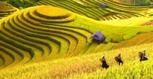 Circuit Vietnam authentique 3*