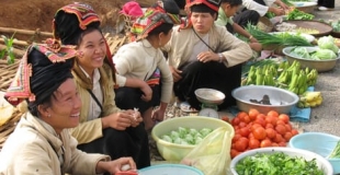 Circuit 4 x 4 Nord-Ouest Vietnam 14 jours