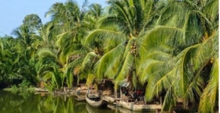 Delta du Mekong hors des sentiers battus 