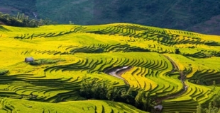 Randonnée à Y Ty et Sapa 4 jours