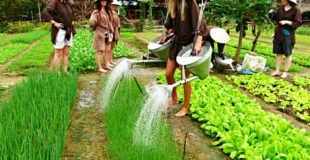 Excursion au village maraîcher Tra Que