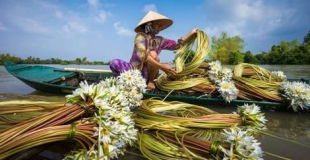 Circuit safari Vietnam 15 jours