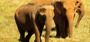 Voyage culturel au Laos 12 jours