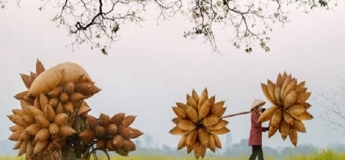 Routes des orchidées Thailande 12 jours