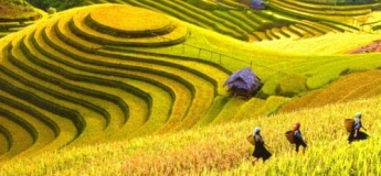 Circuit Vietnam authentique 3*