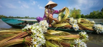 Circuit safari Vietnam 15 jours