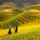 Les Rizières en Terrasses de Mu Cang Chai: Un Chef-d'Œuvre Agricole et Paysager