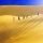 Les dunes de Nam Cuong