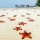 Voyager responsable à Phu Quoc: Conseils éthiques 2025