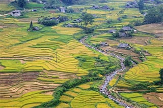 vietnam-sapa