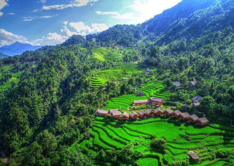 rizieres terrasse Hoang Su Phi lodge