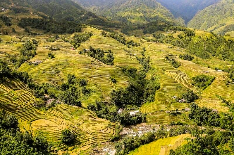 rizieres terrasse Hoang Su Phi panorama 