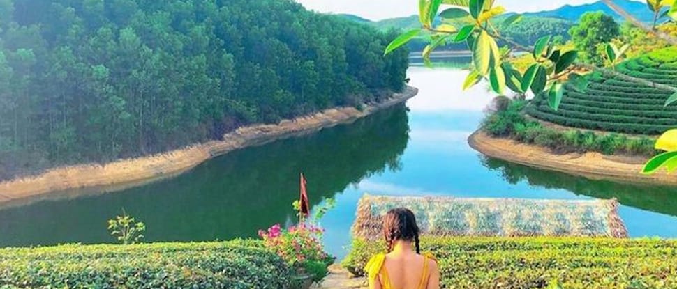 Collines de théiers - Nghe An theiers-nghe-an