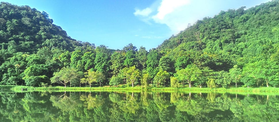 le Parc national de Cuc Phuong