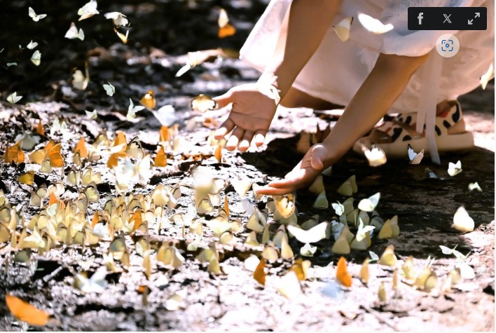 le parc national de Cuc Phuong