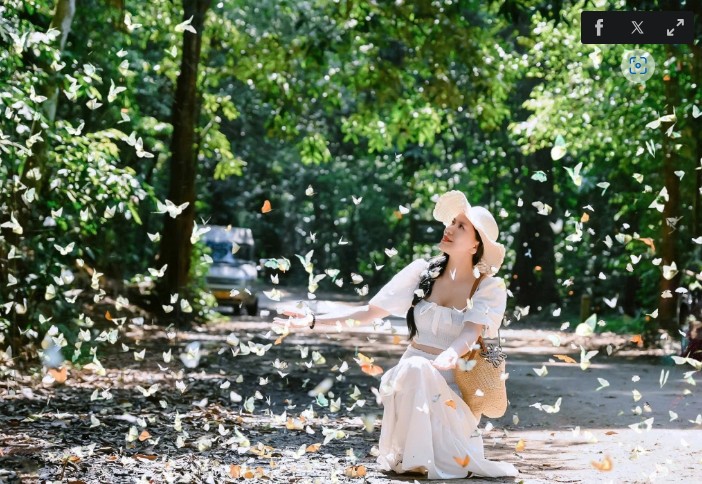 Trésor caché du Vietnam, entre nature sauvage et spiritualité millénaire