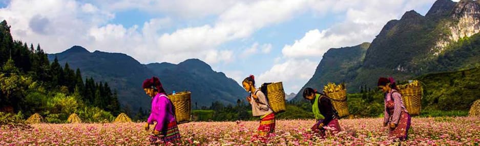 Trek et randonné au Vietnam