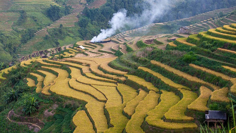 Mu Cang Chai