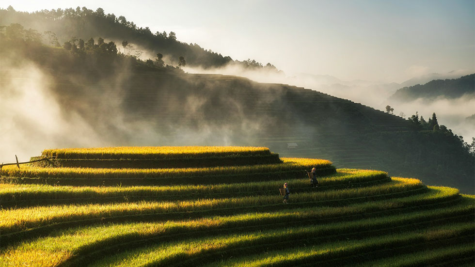 Mu Cang Chai