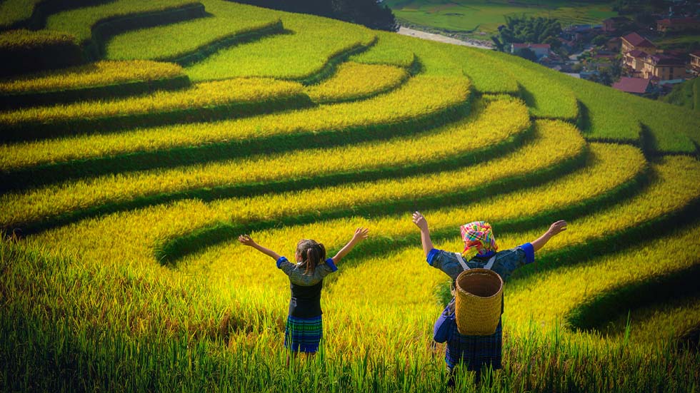 Mu Cang Chai