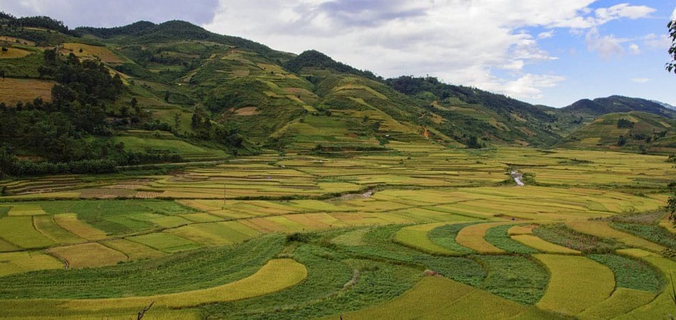 Muong Thanh Muong-Thanh