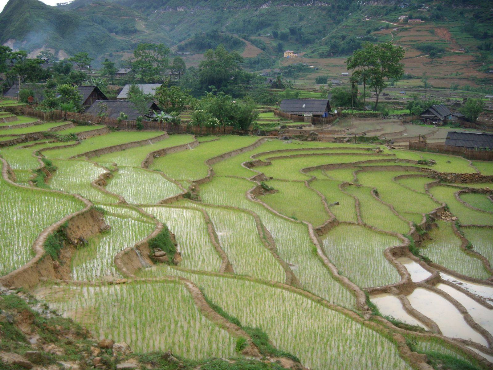 Voyager à Sapa au Vietnam