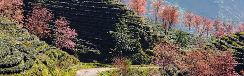 Voyager à Sapa au Vietnam