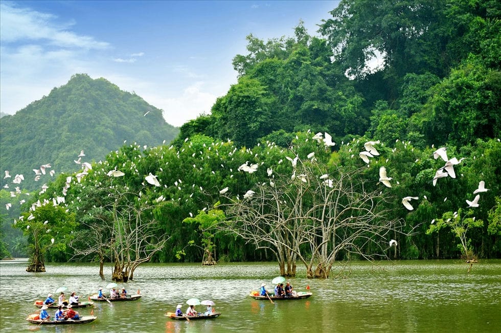 Thung Nham Ninh Binh